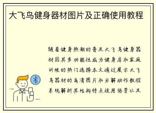 大飞鸟健身器材图片及正确使用教程